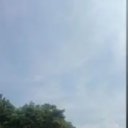 X_X_T-Tの画像