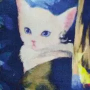 テ、ジョヨンちゃん