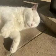 MiYuの画像