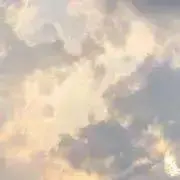 Sakoの画像