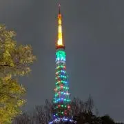 みやちんの画像