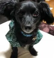 minaの画像
