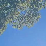 hikの画像
