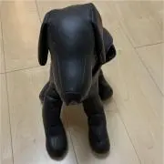 たくの画像