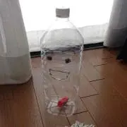 NCNCの画像