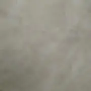しろの画像