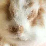 あーちゃん