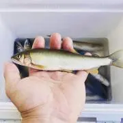タカヒロ