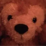 ゆめゆめの画像
