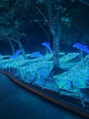 B.moon　プロフィール必読