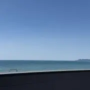くろの画像