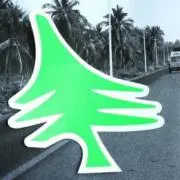 hippytree