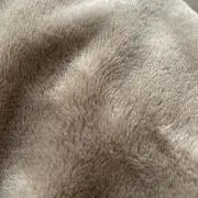 さささ