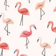 まき