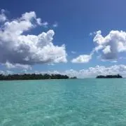 なーおーの画像