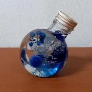 みんちょる