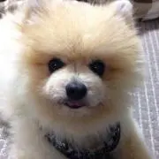 YNの画像