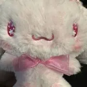 シナモン⚠️購入前にプロフ必読‼️の画像