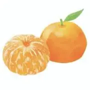 みかんの画像