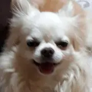 ももゆき プロフ必読の画像