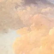 つむの画像