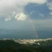 Sunny.26の画像