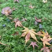 田中太郎の画像