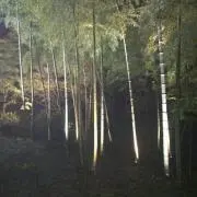 たけ