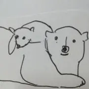 chisatoyellow