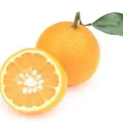 朔の画像