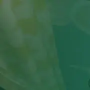 くらの画像