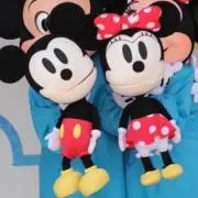 ぽんぽこの画像