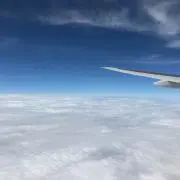 ごの画像