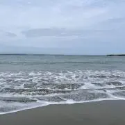 マリーナの画像