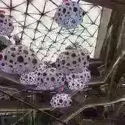 小金井　ヤ○オク•ラ○マの偽アカ注意❗️の画像