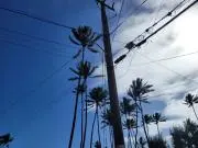 Chの画像