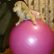 のぞみ( v^-゜)♪
