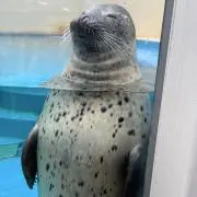 suihankiの画像