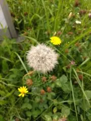ご購入前にコメントをください☆彡の画像