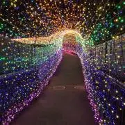 karukaruの画像