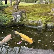 さぼてんの画像