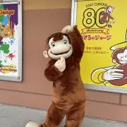 Sakuraの画像