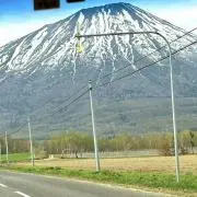 Sakuraの画像