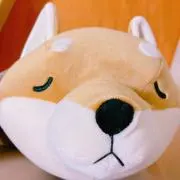 みーの画像