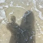 ウの画像