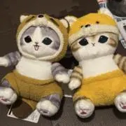 宮内の画像