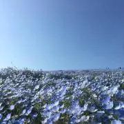 りの画像