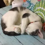うみみん