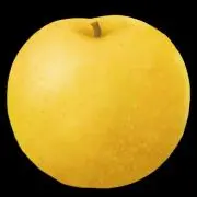 apearの画像
