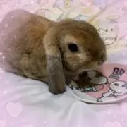 ちくまっくん(∗ˊ꒵ˋ∗)の画像